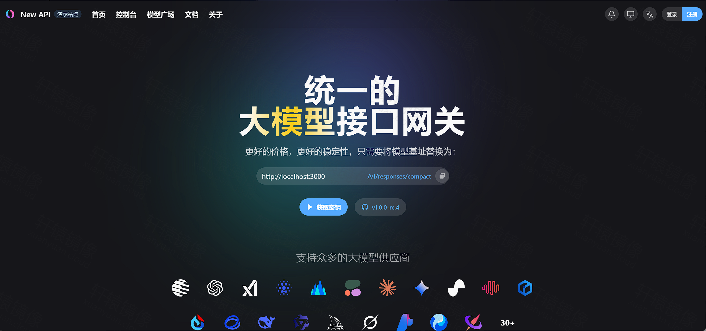 new-api 首页